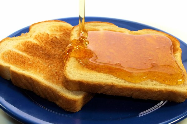 Toast al miele su un piatto blu