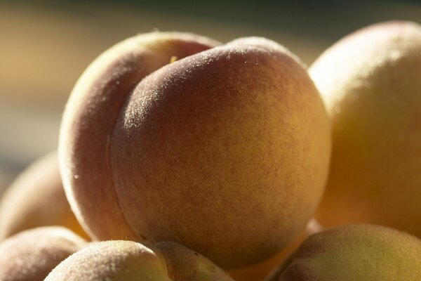 Fruit de pêche juteux et parfumé