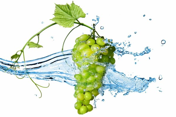 A bunch of grapes in a splash of water