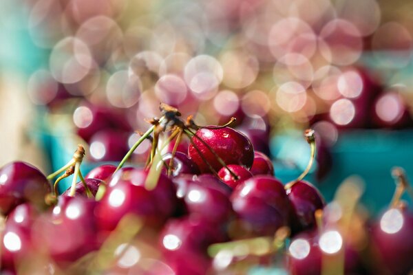 Red cherry in macro shooting under glare