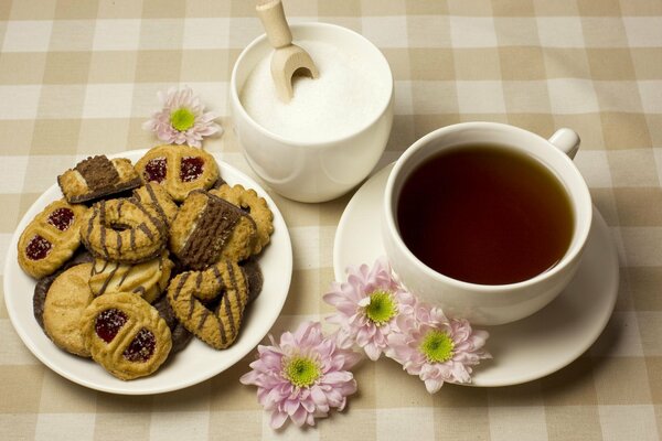 Tea pair with sugar and cookies