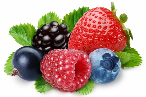 Strawberries raspberries blueberries and hedgehogs