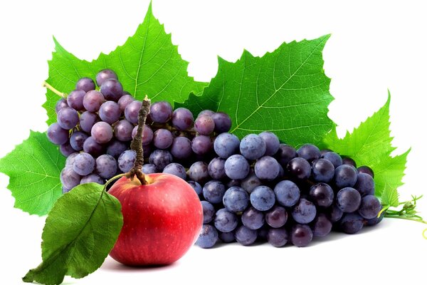 Kiść winogron i jabłko na tle liści winogron