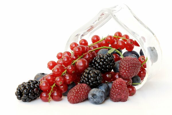 A mix of raspberries, blackberries, blueberries and currants