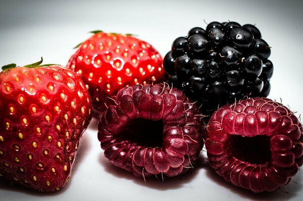 Frische Erdbeeren, Himbeeren, Brombeeren