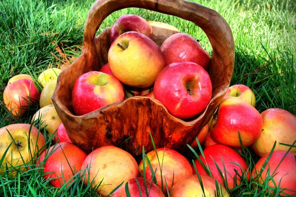 Selbstgefüllte Äpfel in einem Holzkorb