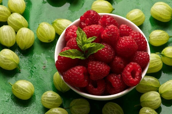 Alimentación saludable de frambuesas y grosellas