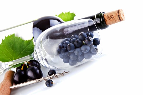 Hermosa Copa de vino con uvas y una botella