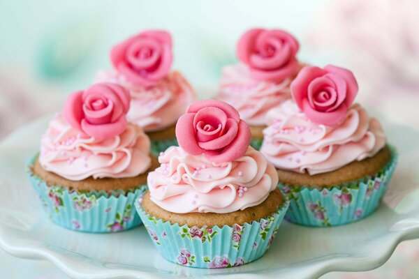 Haz un regalo para cualquier persona, come nuestros cupcakes)