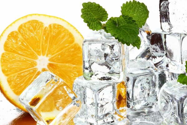 Ice cubes and the most delicate orange