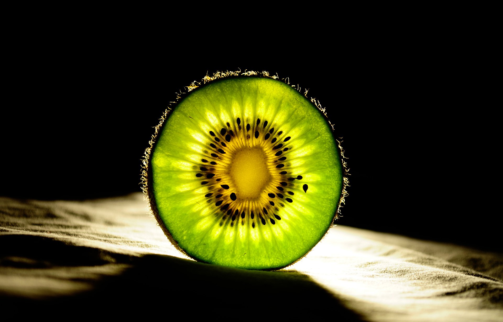 qiwi kiwi milieu lumière