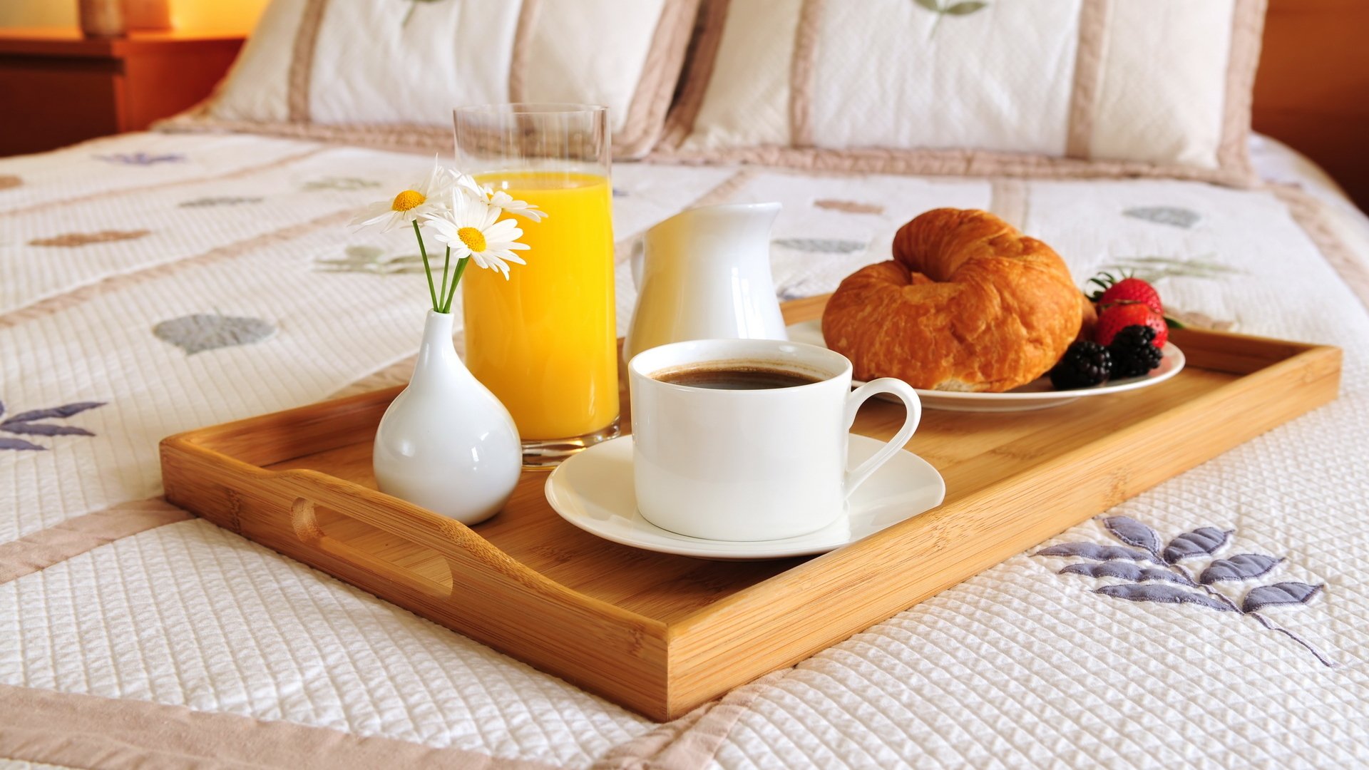 cibo colazione letto caffè succo d arancia bagel croissant bacche more fragole piatti bicchiere tazza vaso fiori margherite vassoio cuscini cibo letto blackberry piatti vetro colore