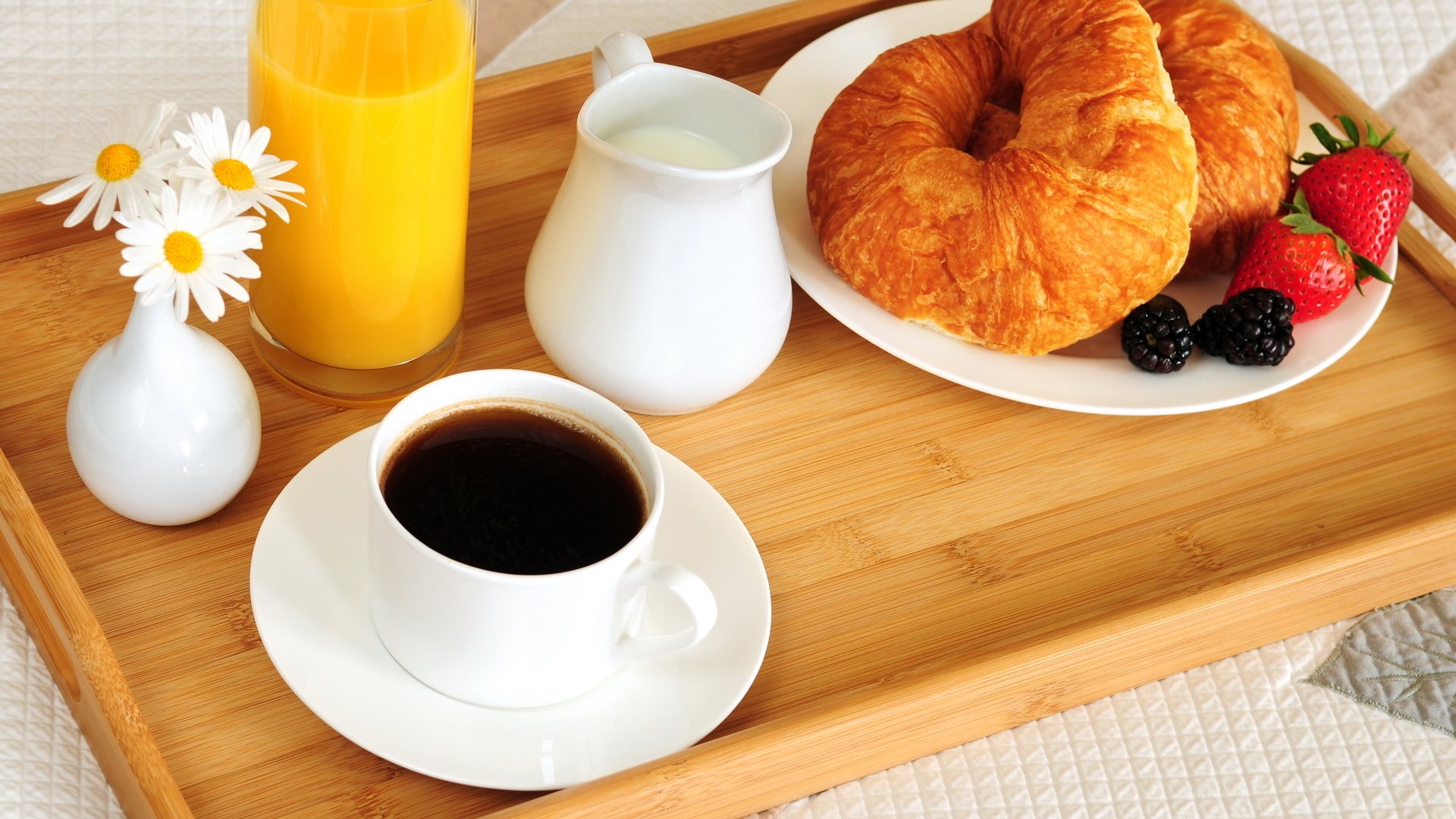 comida desayuno cama café jugo de naranja bagel croissant bayas moras fresas platos vaso taza florero flores margaritas bandeja leche alimentos cama blackberry placas vidrio