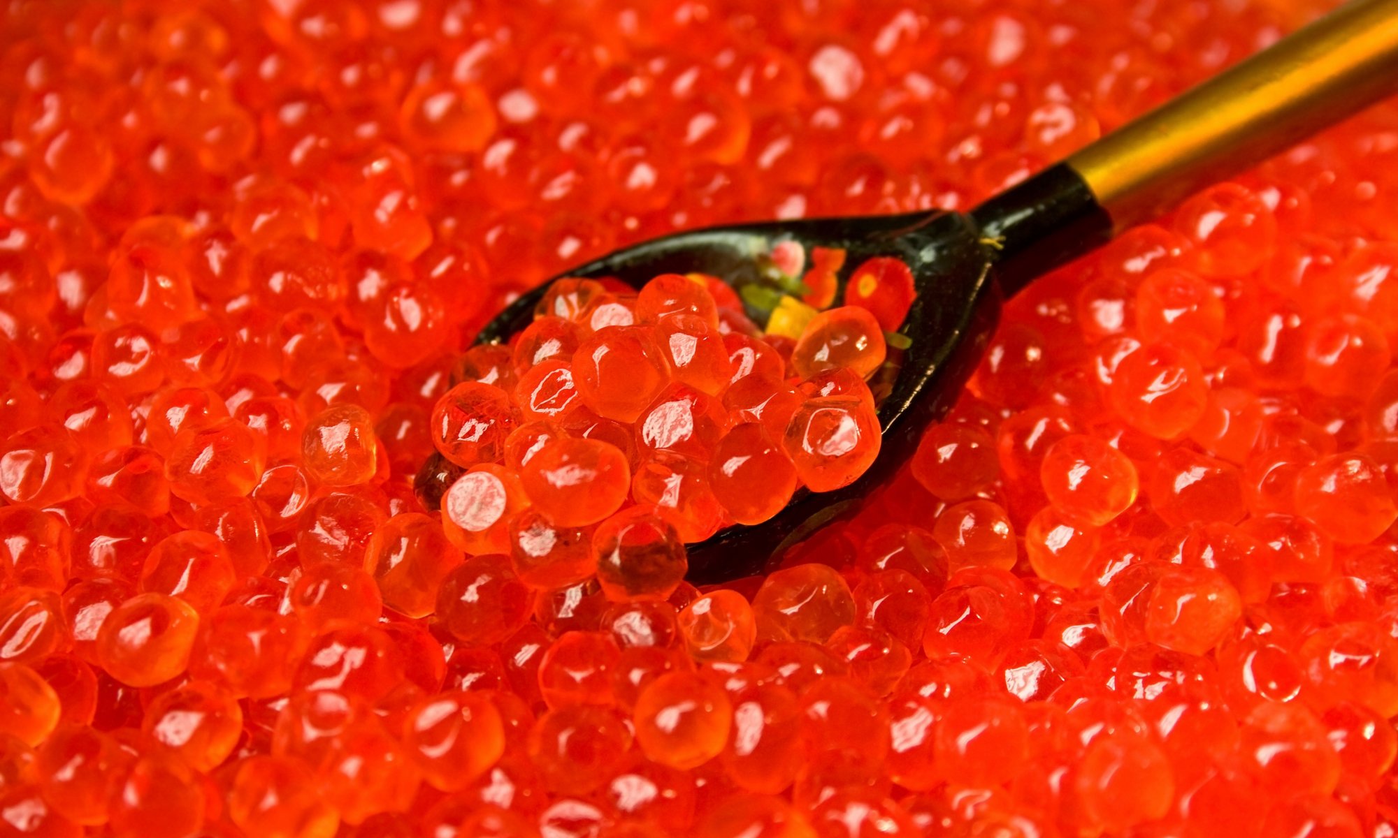 caviar rojo granulado salmón cuchara