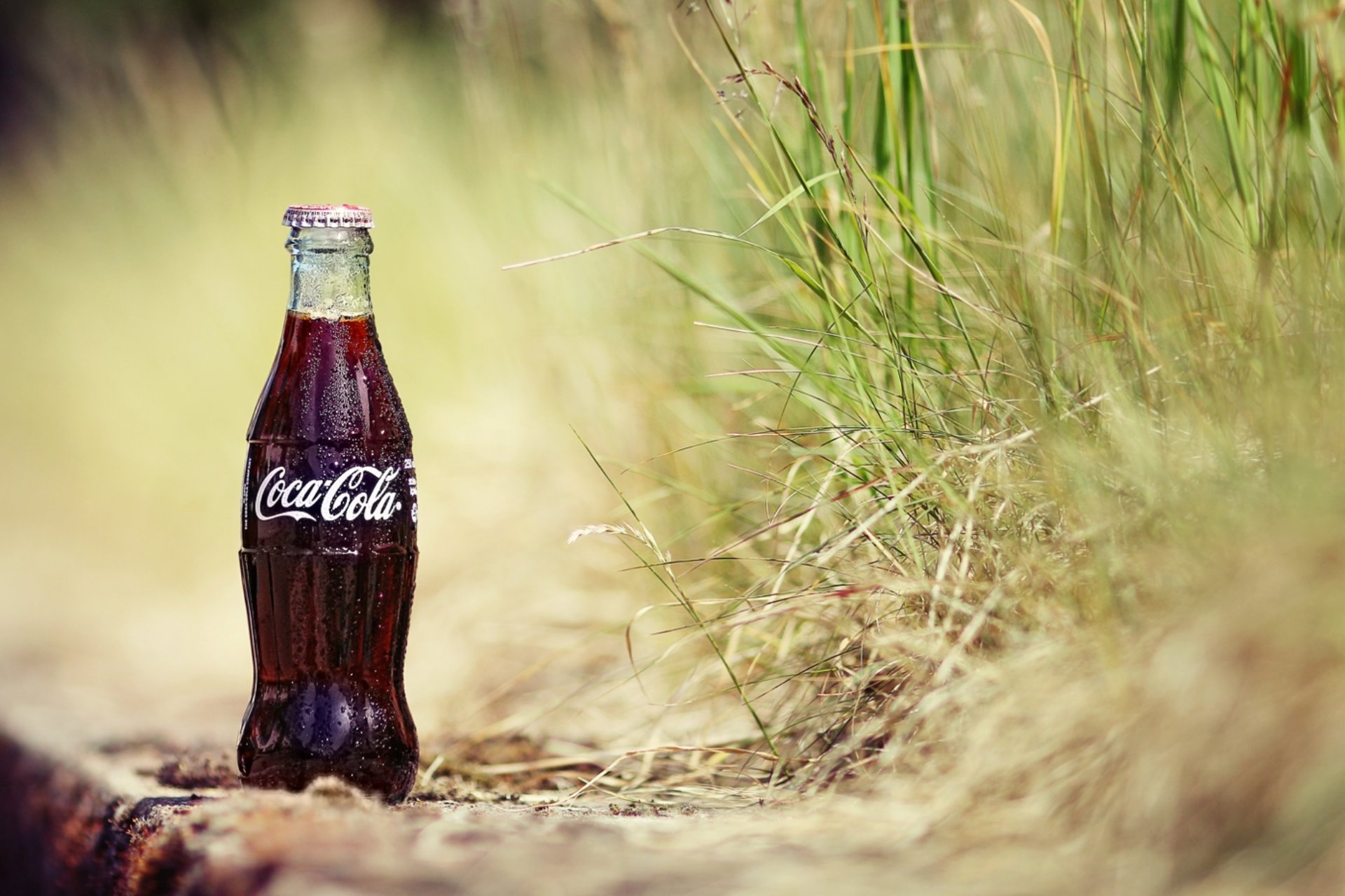 sable herbe plantes bouteille cola gouttes coca-cola coca-cola boisson soda fond d écran