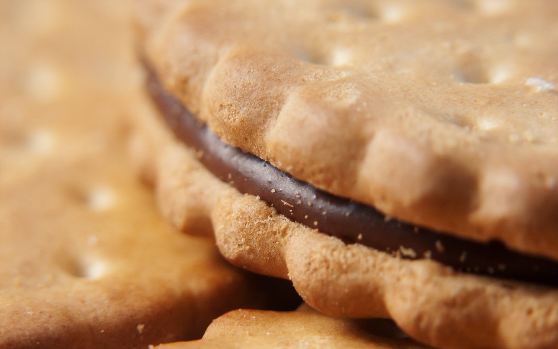 nourriture sucré dessert biscuit crème chocolat macro nourriture macro 1920x1200