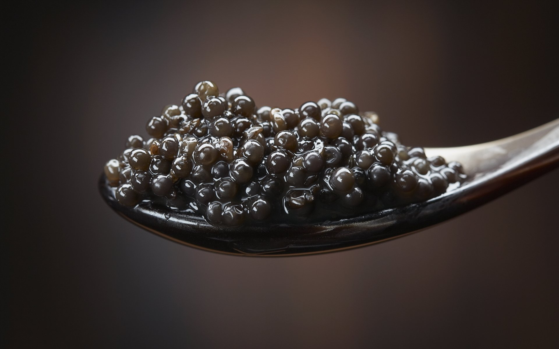 macro cuillère noir caviar appétissant miam-miam