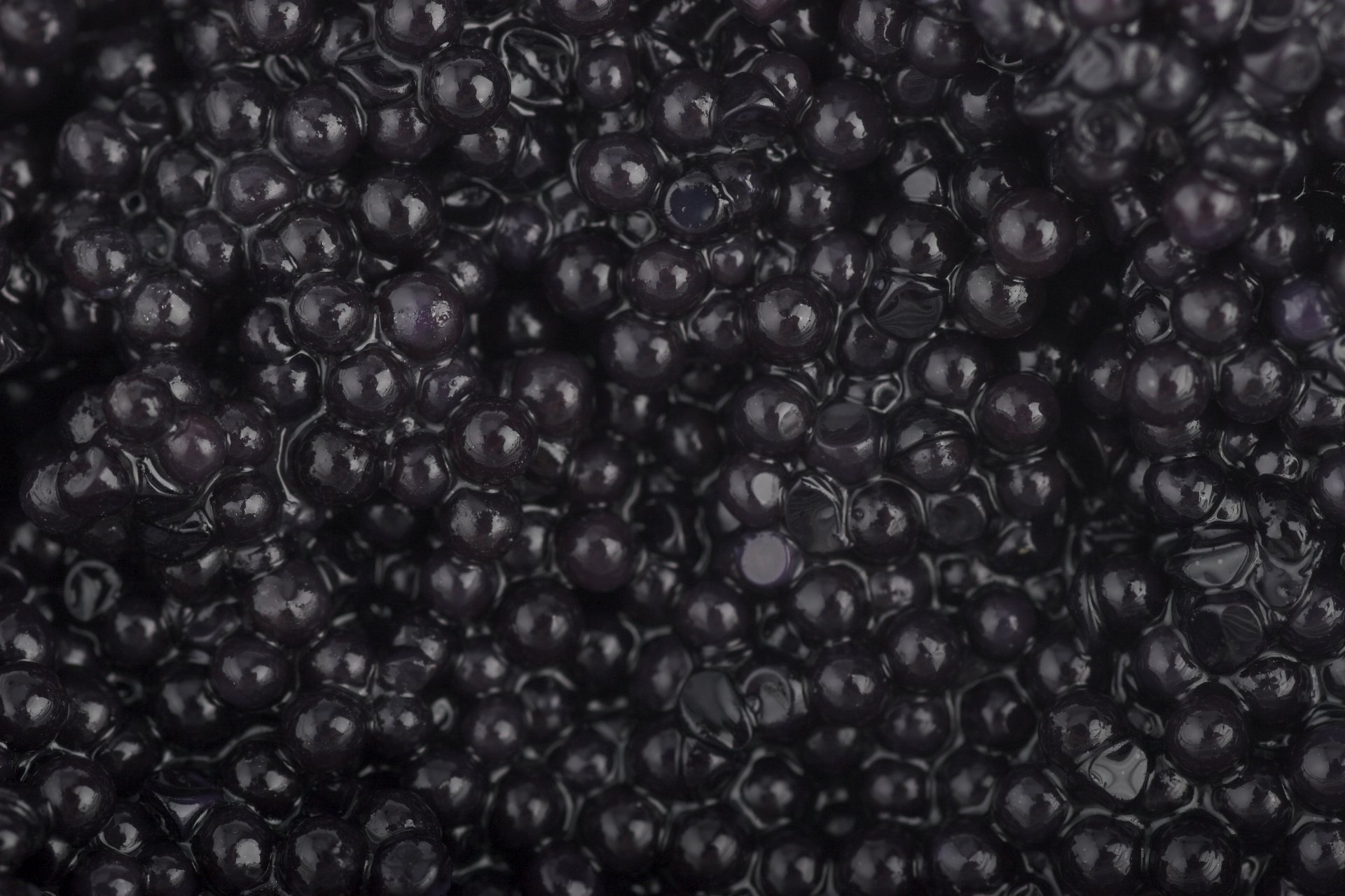 caviar noir granuleux