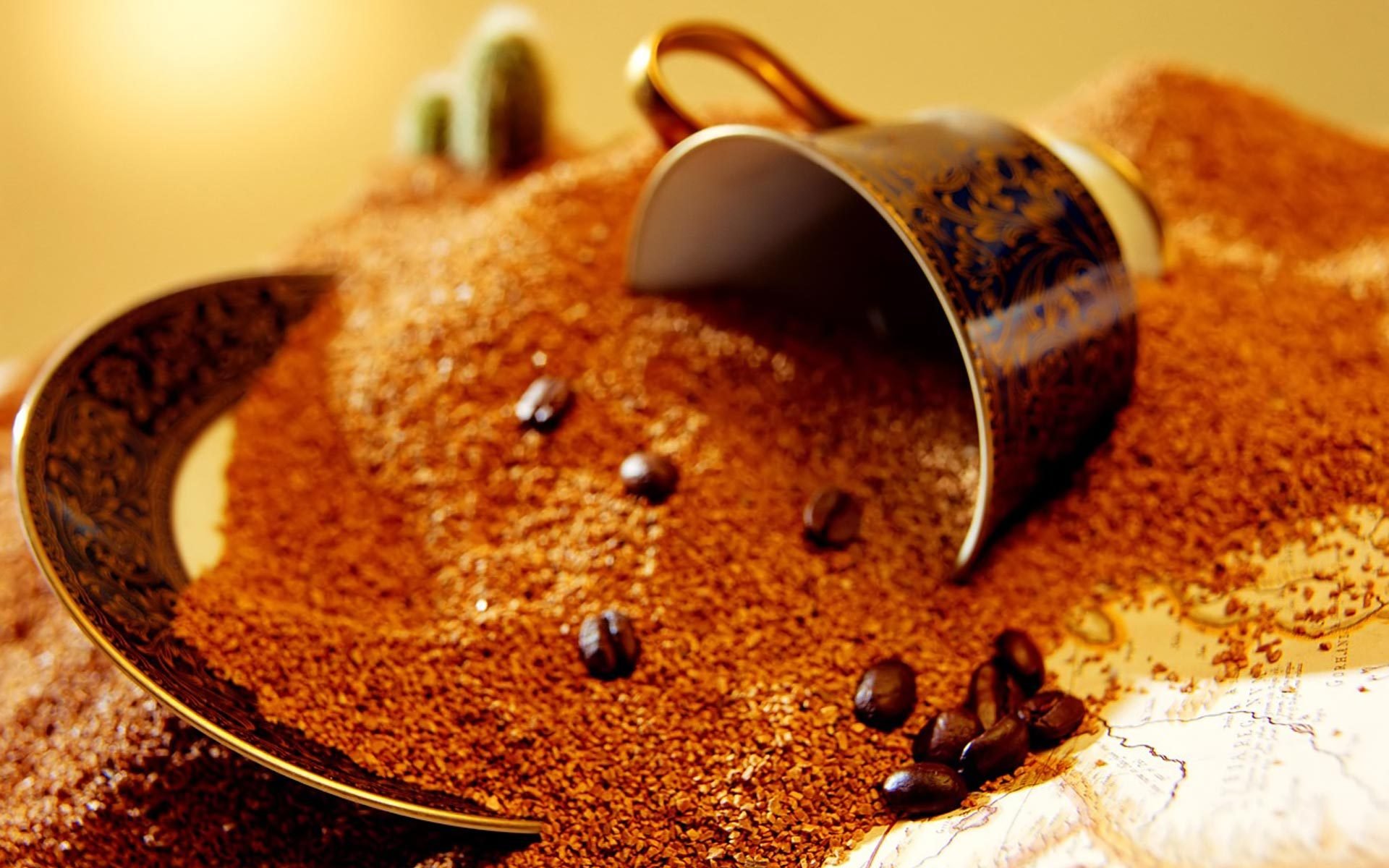 café tasse grain macro macro brun