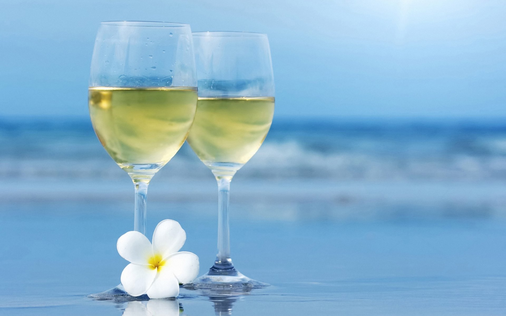 meer weingläser blume unschärfe