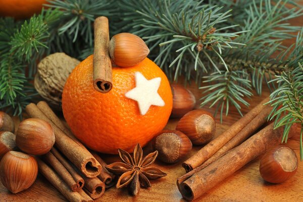 Orange mit Zimt und Zweignadeln