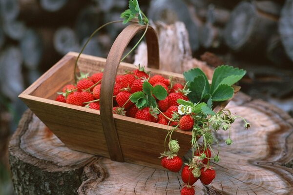 A small wooden basket with red strawberries