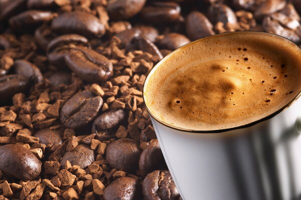 Tasse Kaffee auf dem Hintergrund der Bohnen