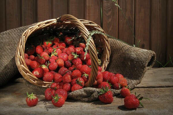 Panier avec des baies de fraises
