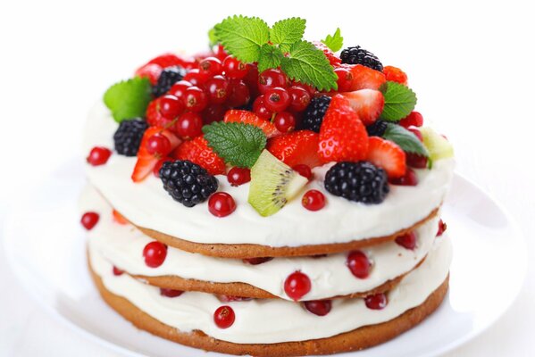 Gâteau lumineux aux baies sur fond blanc