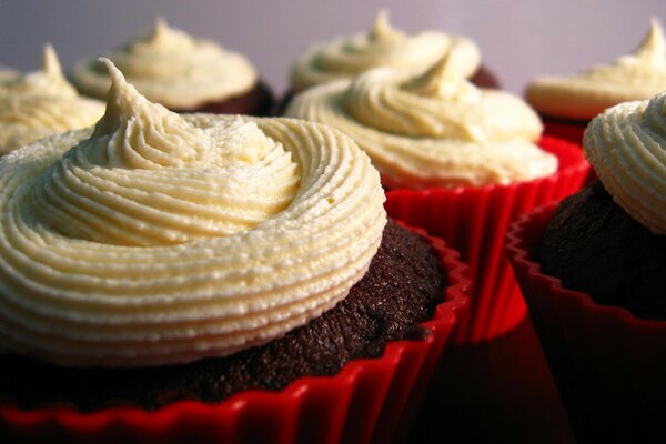 Chocolate cream cakes