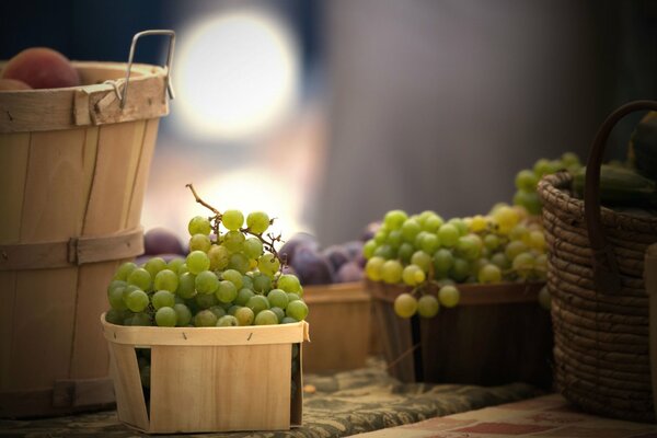 La vendemmia avviene in cesti di legno