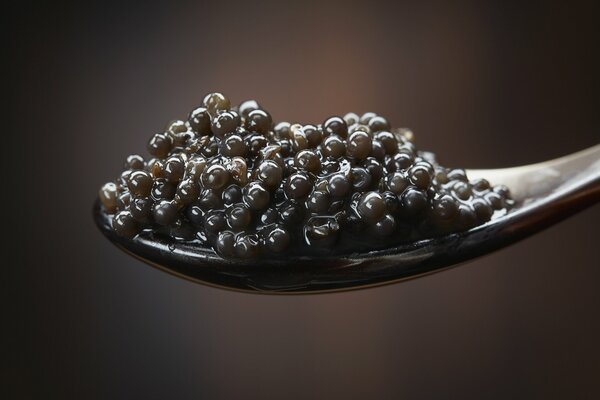Cuchara de caviar negro más sabroso