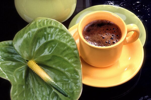 Taza de café con flor de Anthurium