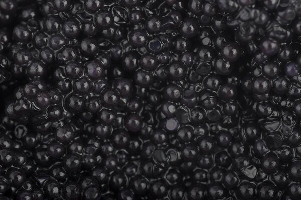 Caviar negro apetitoso placer en pantalla completa
