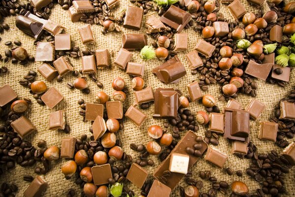 Pezzi di cioccolato fondente con nocciole