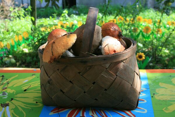 Nature. Different food, mushrooms in the basket. Autumn wallpaper