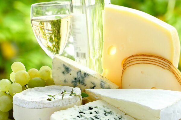 Verschiedene Käsesorten und Wein in Weingläsern Weißschimmelkäse