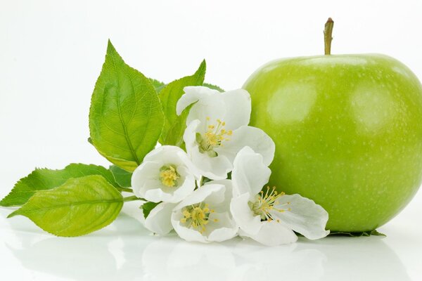 Mela verde con foglie e fiori