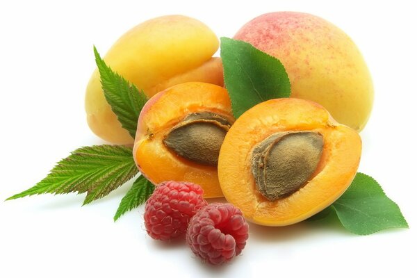Raspberries and apricots with seeds and leaves