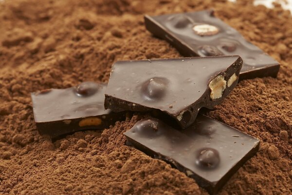 Photo de morceaux de chocolat avec des noix sur fond de cacao