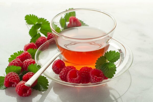 Piccola tazza di tè al lampone