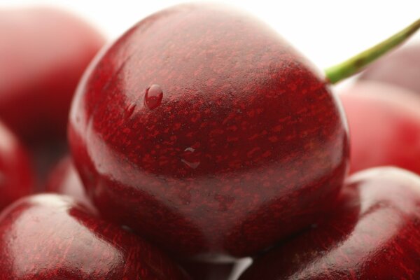 Macro shot of sweet cherries