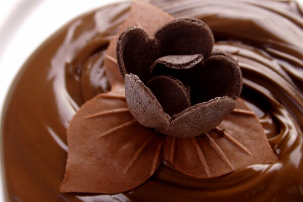 Chocolate cream with decorative flower