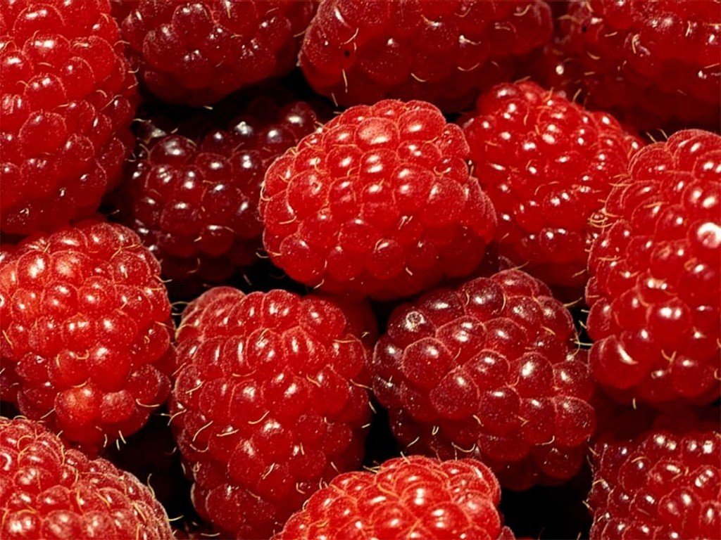 close up berries raspberry