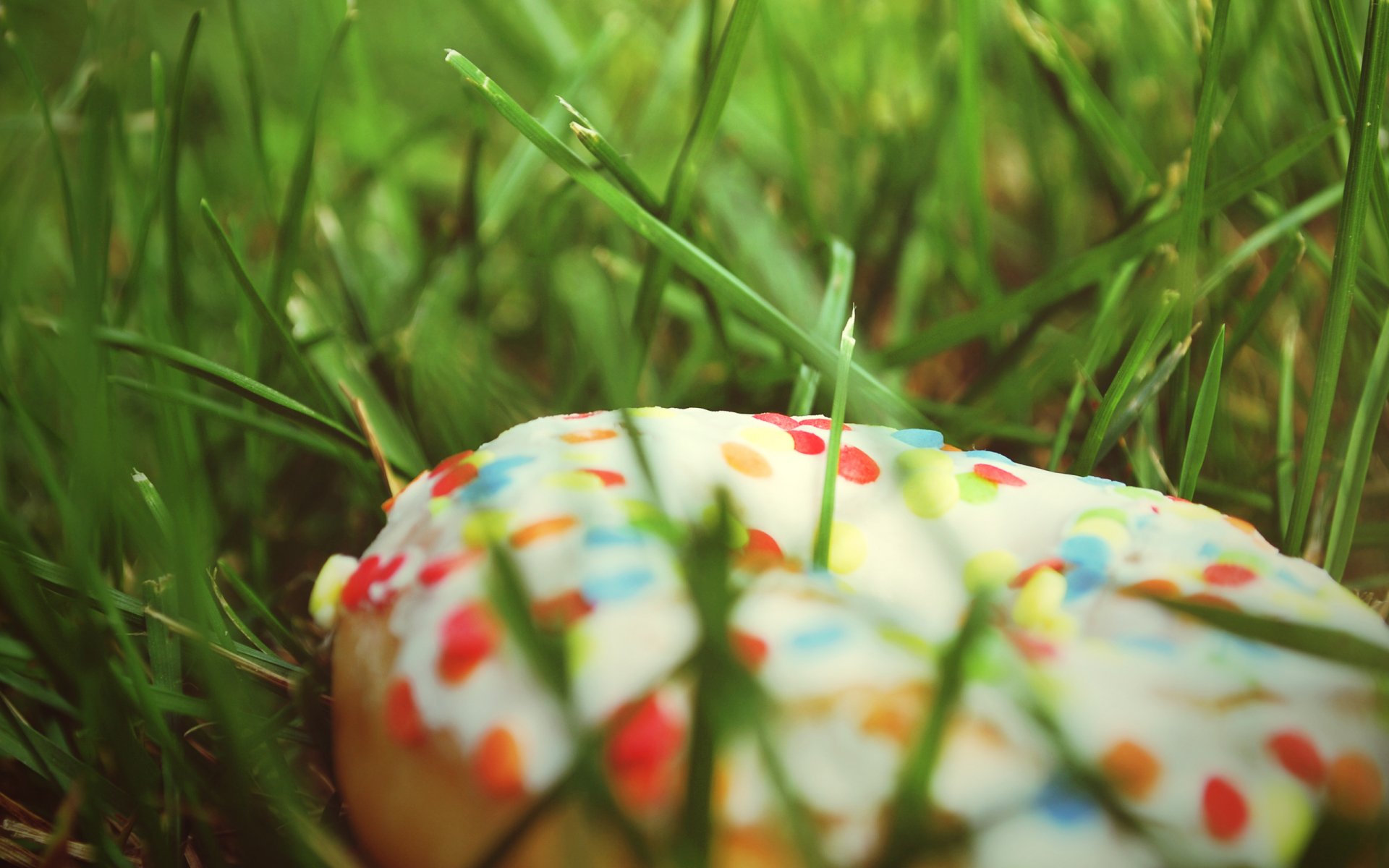 grass donut food