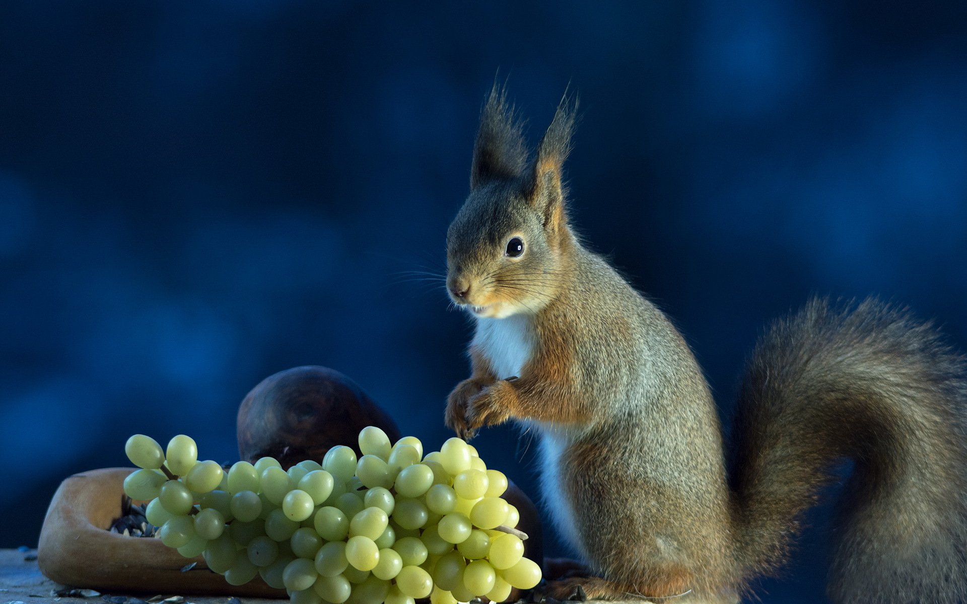 protein grey grapes background