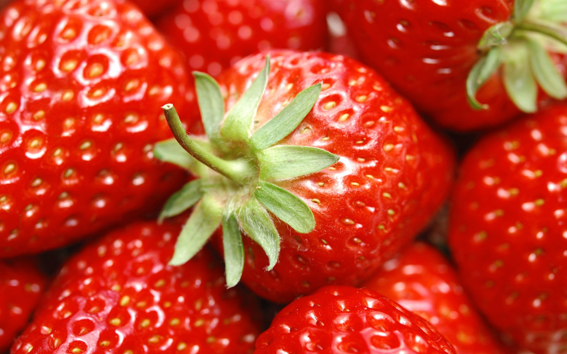 fraise baies repas rouge été