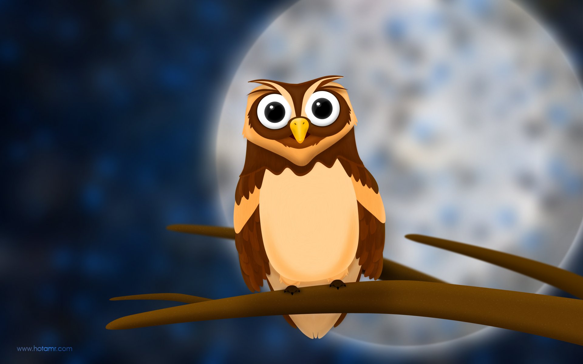 owl view branch night moon