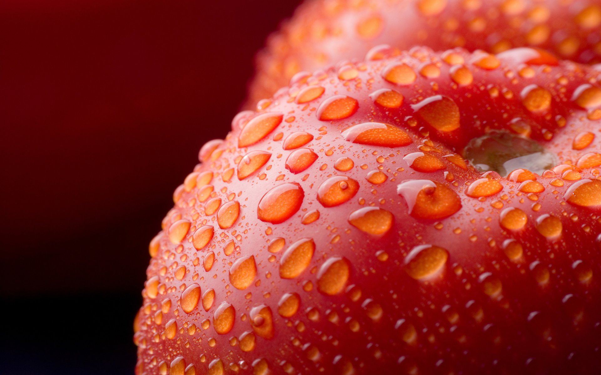 close tomatoes vegetables drops fruit macro