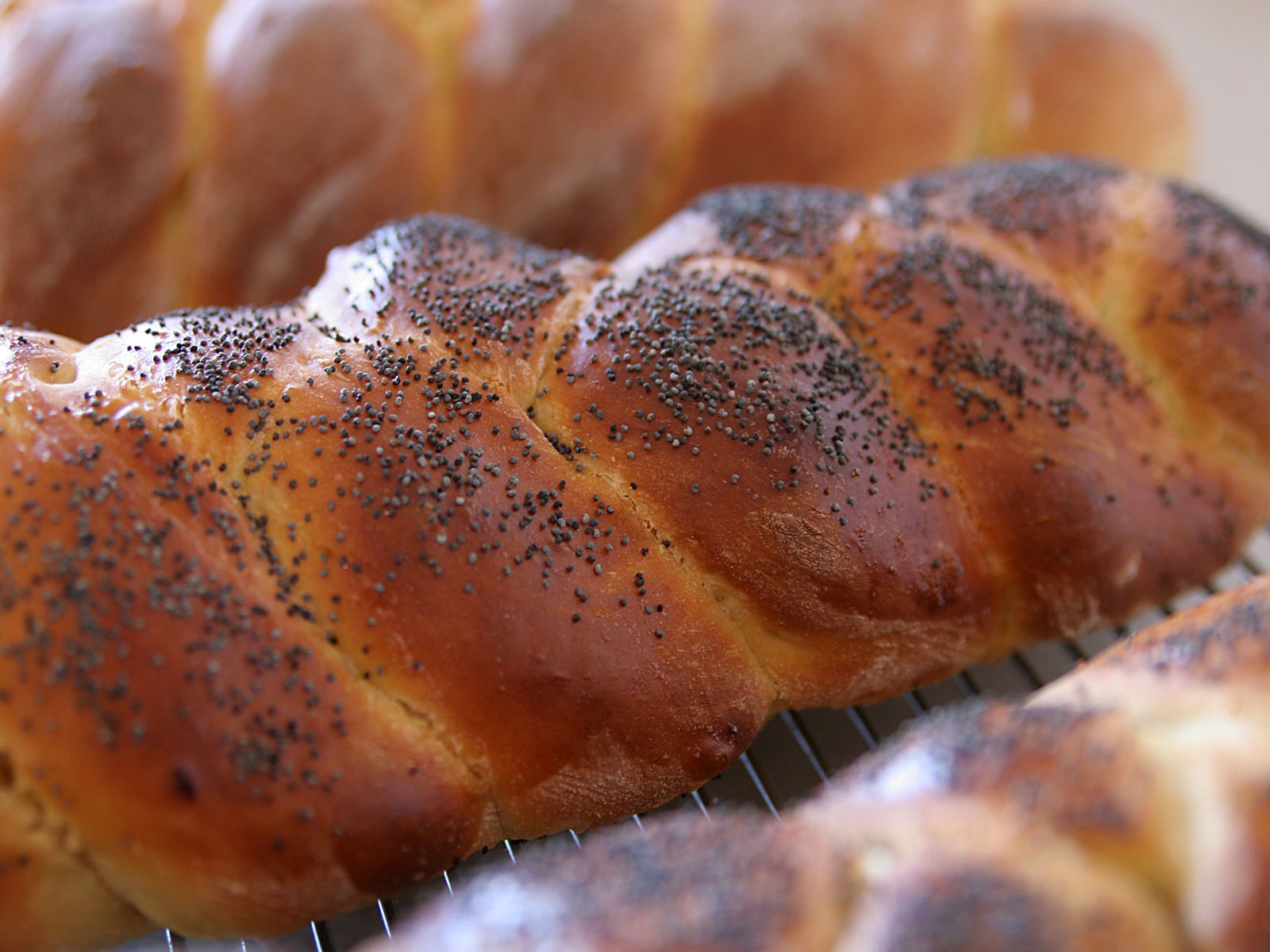 bread baking food